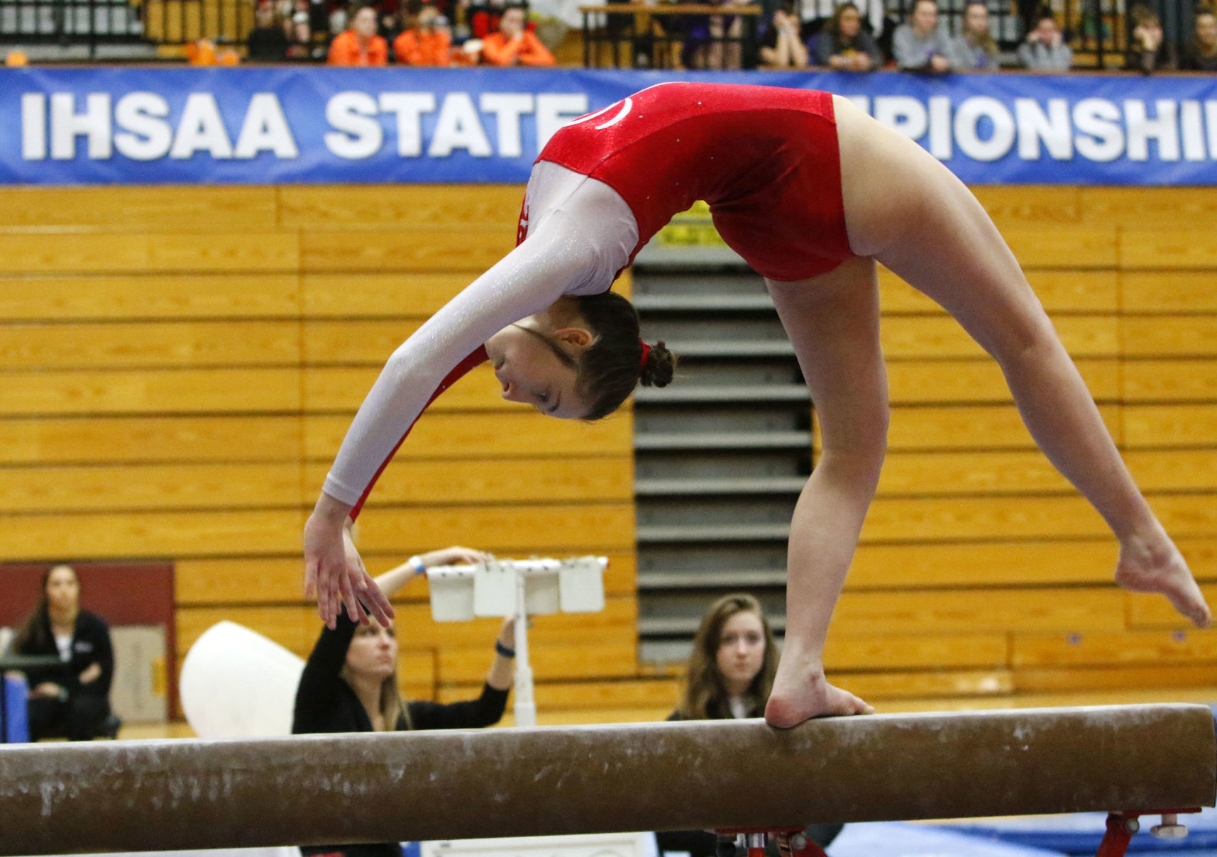 Gallery: Gymanstics state finals